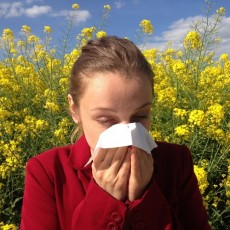 Wie CBD bei einer Pollenallergie helfen kann